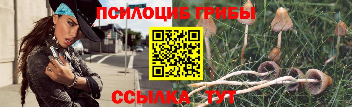 Мариинск  Псилоцибиновые грибы Psilocybine cubensis  Вход с VPN  Галлюциногенные грибы мухоморы 